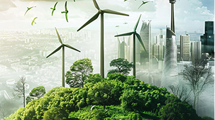 Assessment & Planning